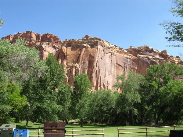 Fruita cliffs, trees, and dumpsters