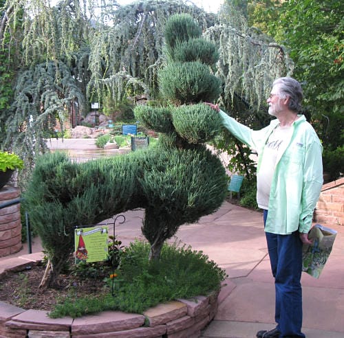 Mark With Topiary In Red Butte Garden