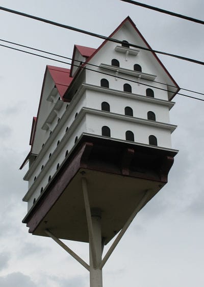 Birdhouse in Gilgal Garden