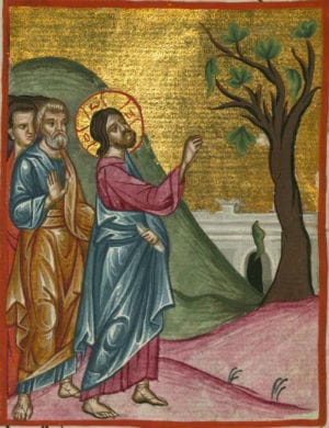 Jesus Curses The Fig Tree - Walters W59258A